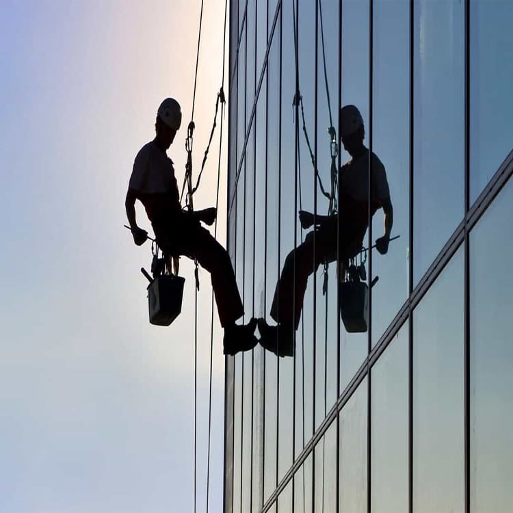 Control de Plagas Madrid