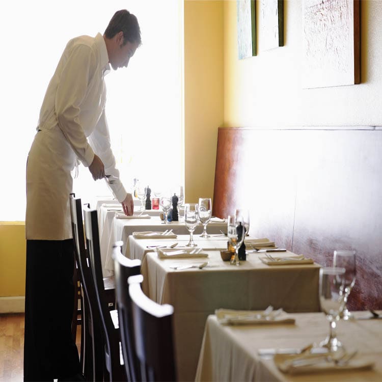 Control de Plagas Madrid