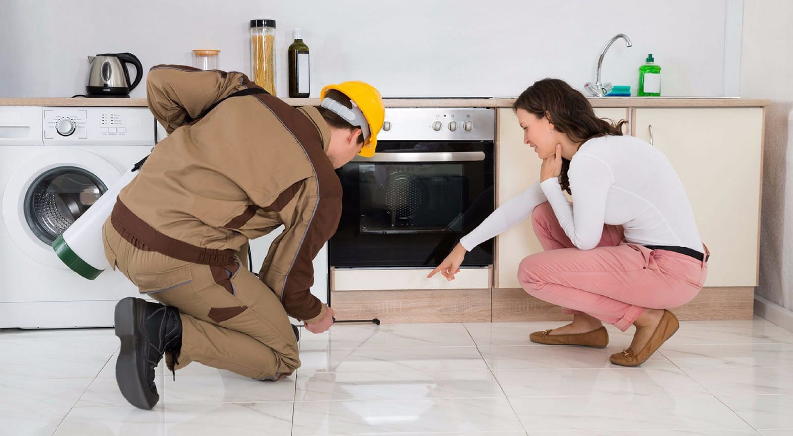 Control de Plagas Madrid